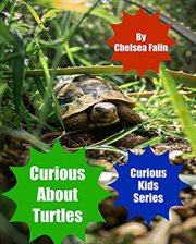 Curious about turtles cover image cdn