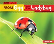 From egg to ladybug cover image cdn
