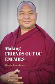 Making friends out of enemies cover image cdn