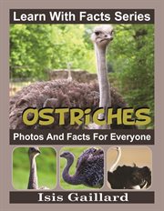 Ostriches photos and facts for everyone cover image cdn