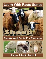 Sheep photos and facts for everyone cover image cdn