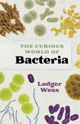 The curious world of bacteria  cover image cdn