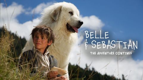 Belle & Sebastian: The Adventure Continues cover image cdn