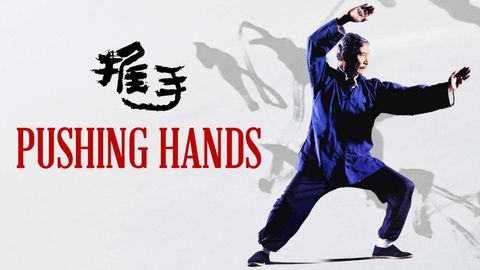 Pushing Hands cover image cdn