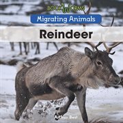 Reindeer cover image cdn