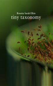 Tiny taxonomy cover image cdn