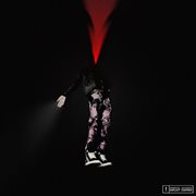 Beautiful downfall, serene cover image cdn