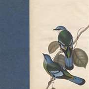 One chance cover image cdn