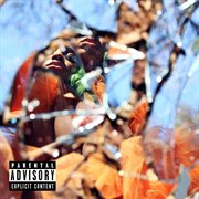 Sage cover image cdn