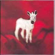 Zebra cover image cdn