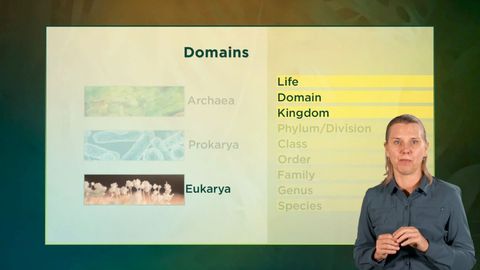 The Botanist's Eye: Identifying the Plants around You. Episode 1, Why Learn the Names of Plants? cover image cdn