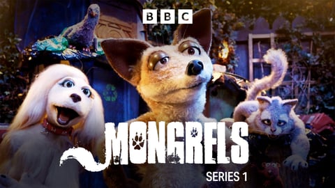 Mongrels cover image cdn