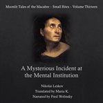 A mysterious incident at the mental institution cover image cdn