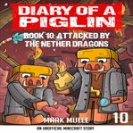 Attacked by the nether dragon cover image cdn