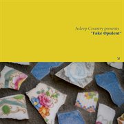 Fake opulent cover image cdn