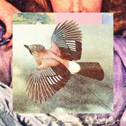 Með vínyl að vopni cover image cdn