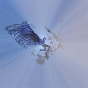 Miracolo cover image cdn