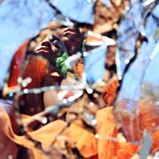 Sage cover image cdn