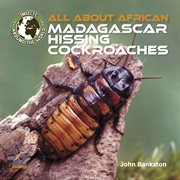 All about African Madagascar hissing cockroaches cover image cdn