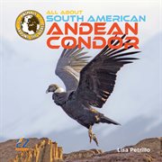 All about south american andean condors cover image cdn