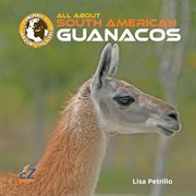 All about South American guanacos cover image cdn