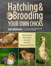 Hatching & brooding your own chicks cover image cdn