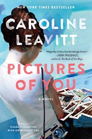 Pictures of you : a novel cover image cdn