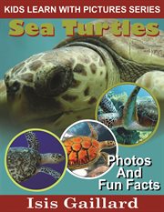 Sea turtles photos and fun facts for kids cover image cdn