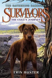 Survivors : The exile's journey cover image cdn