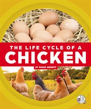 The life cycle of a chicken cover image cdn