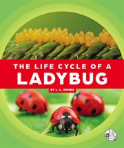 The life cycle of a ladybug cover image cdn