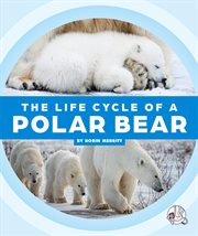 The life cycle of a polar bear cover image cdn