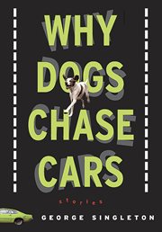 Why dogs chase cars : tales of a beleaguered boyhood cover image cdn