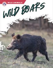 Wild boars cover image cdn