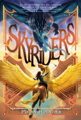 Skyriders  cover image cdn