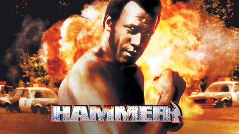 Hammer cover image cdn