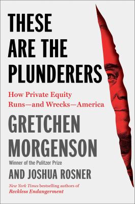 These are the plunderers : how private equity runs -- and wrecks -- America  cover image cdn