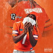 17 ways cover image cdn