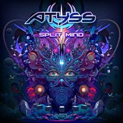 Split mind cover image cdn