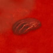 Wolf amongst rats cover image cdn