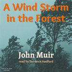 A wind storm in the forest cover image cdn