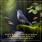Blue-gray gnatcatcher singing near gentle forest waterfall : gray Gnatcatcher Singing Near Gentle Forest Waterfall cover image cdn