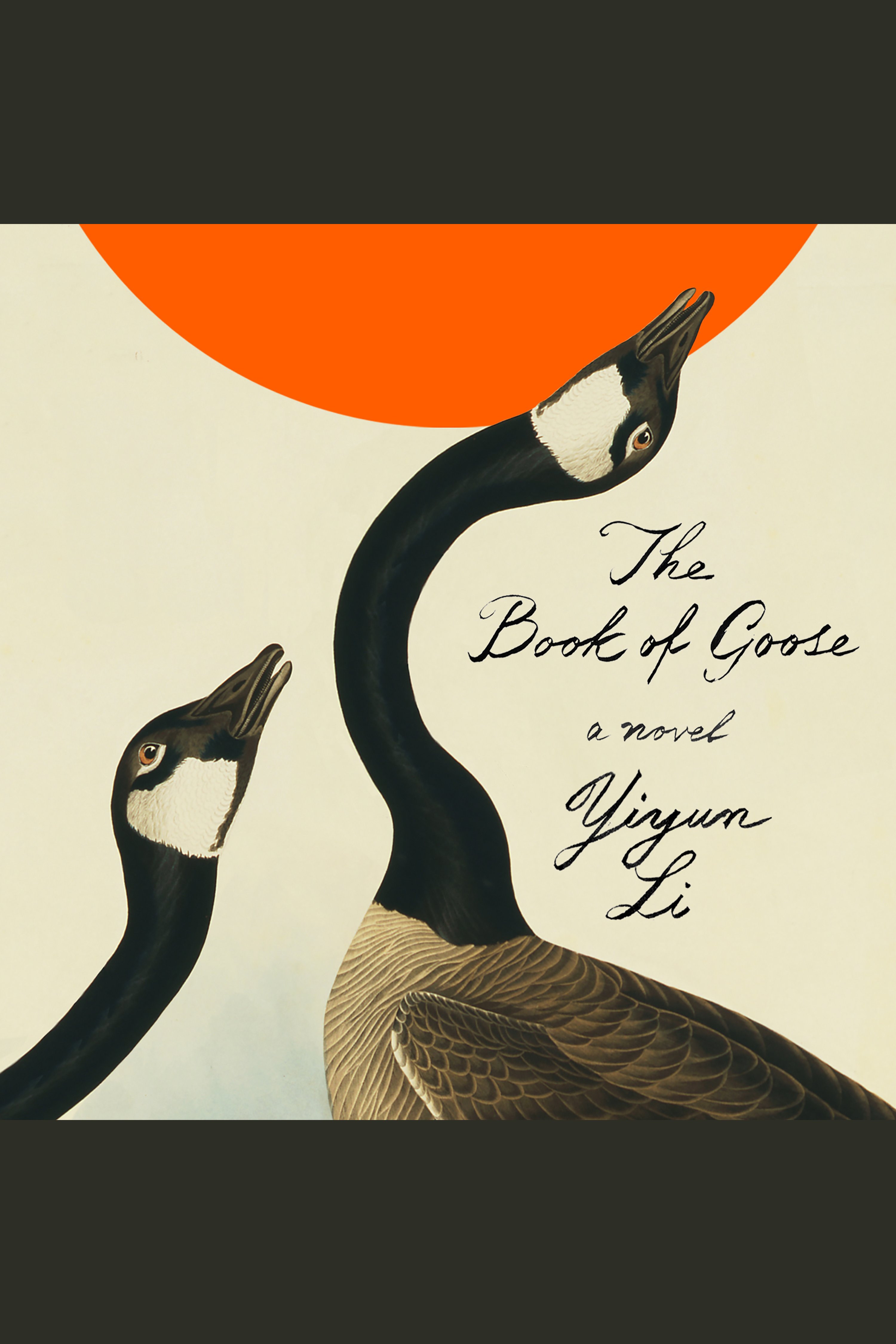 The Book of Goose cover image cdn