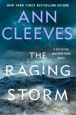 The raging storm  cover image cdn