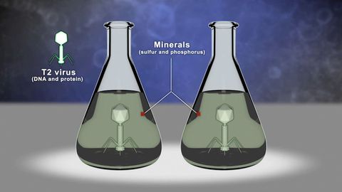 Unlocking the Hidden History of DNA. Episode 2, The Quest for DNA's Structure cover image cdn