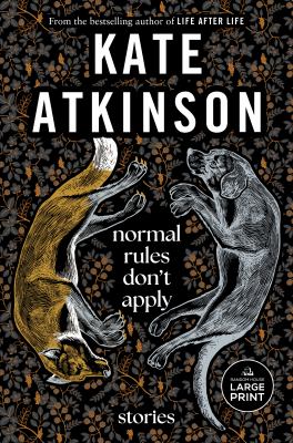 Normal rules don't apply stories  cover image cdn