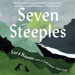 Seven steeples : a novel cover image cdn