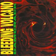 Damcrack cover image cdn