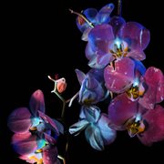 Drift [sleep rework] cover image cdn