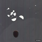 Moments: 010 [live] : 010 [Live] cover image cdn